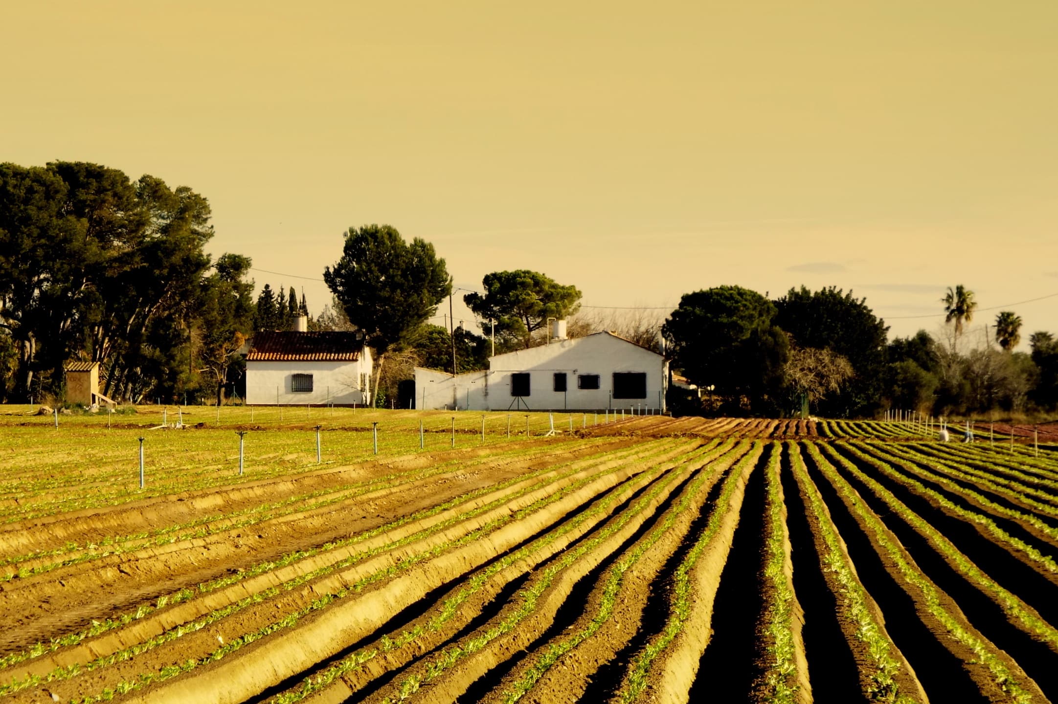 Transformação Digital para PMEs: O Guia Definitivo para Modernizar seu Negócio